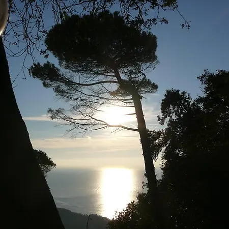 Casa Indipendente Camogli